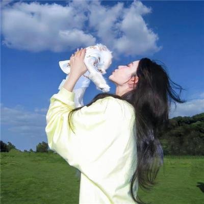 大雄的恐龙2006
